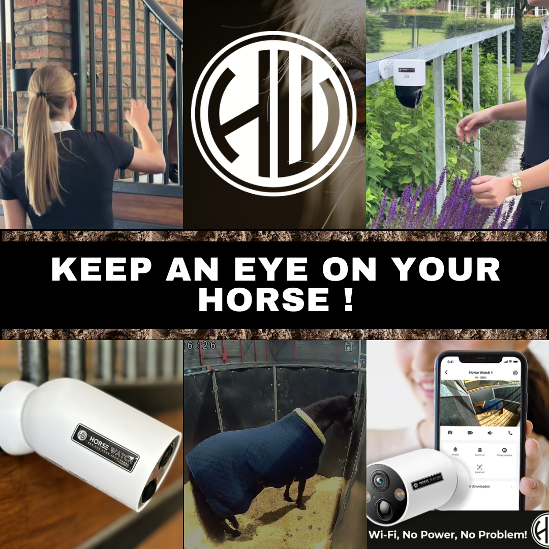 The Ultimate Convenience of the Horse Watch Pro: Stable Camera Without Wi-Fi or Power