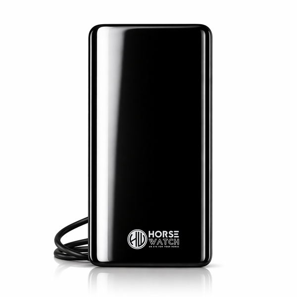Power bank with magnetic strips